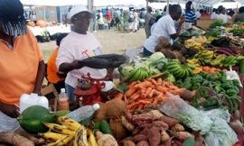 Nevisian Public to expect more for Agriculture Open Day 2020 as Director says they are on target