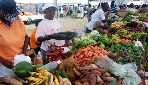 You are currently viewing Nevisian Public to expect more for Agriculture Open Day 2020 as Director says they are on target