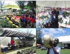 You are currently viewing Agriculture Open Day slated for March 26th and 27th 2020