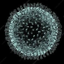 You are currently viewing Immigration officials prepare for detection of Coronavirus