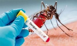 How can residents of SKN prevent an outbreak of Dengue Fever?