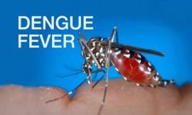 SKN’s populace encouraged to take precaution to protect themselves against Dengue Fever