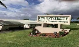 Over 600 Ross University students to return to SKN in 2021