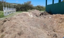 Local Organic Compost made available to TDC 