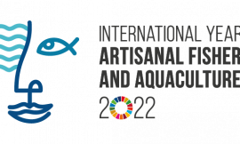 St. Kitts PS. of Agriculture says: “Focus will be placed on Fisheries in the International Year of Artisanal Fisheries and Aquaculture”