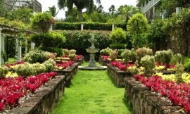 Nevis Botanical Gardens named in top 8 Best Botanical Gardens in All at Sea-Caribbean Waterfront Magazine 