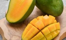 Nevis Mango Festival to commence July 1- 3rd 