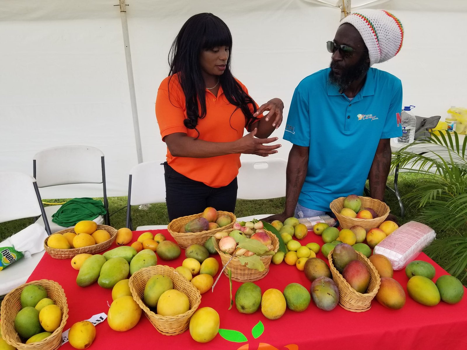 You are currently viewing Four Seasons Resort (Nevis) wins Mango Festival Cooking Competition