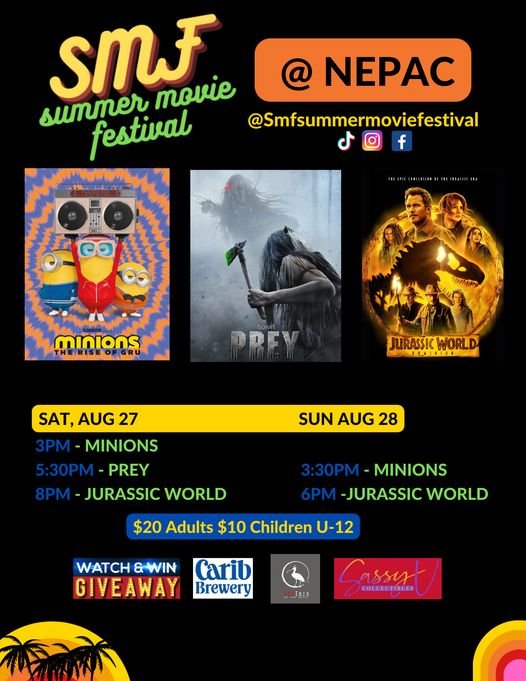 Read more about the article Three Movies Streamed for Nevis Summer Movie Festival