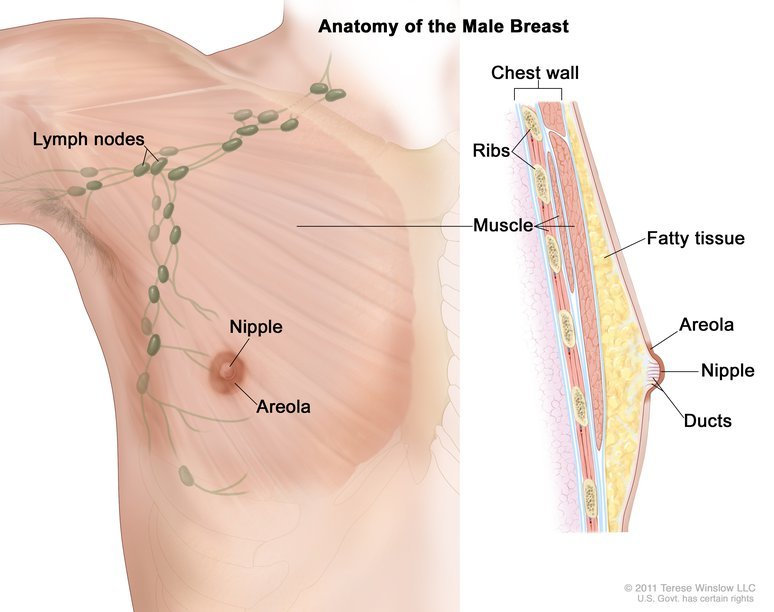 You are currently viewing Breast Cancer in men to be discussed as part of Brethren Assemblies 86th Anniversary celebrations  