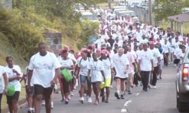 Registration opens for Pink Lily’s annual Cancer Walk