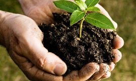 Registration Open for “Compost with Me” Project