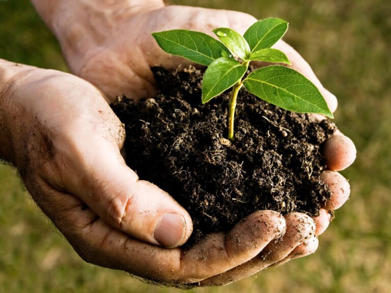 Read more about the article Registration Open for “Compost with Me” Project