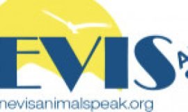 Nevis Animal Speak approved as externship site by University of Florida