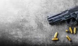 Lawmen seize 23rd illegal firearm for 2023