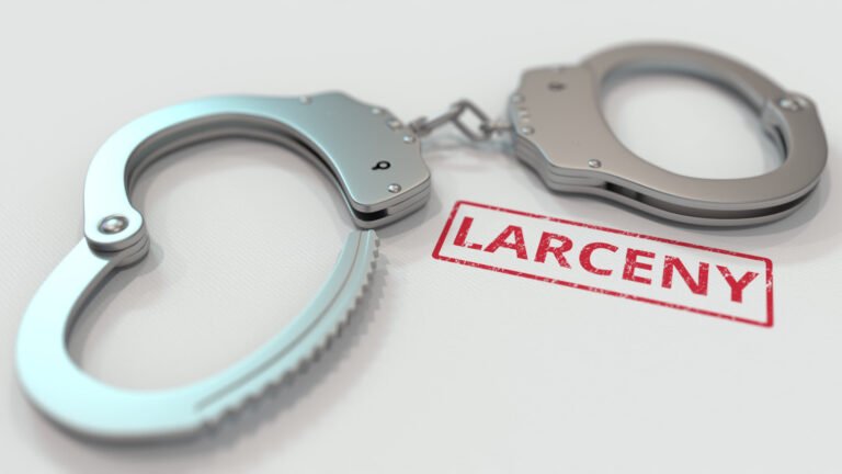 Read more about the article Police issues Larceny alert