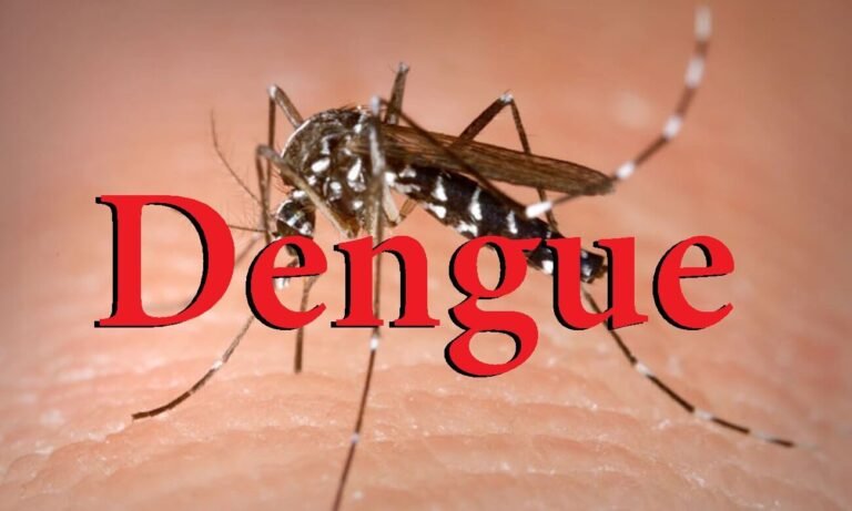 Read more about the article SKN records three confirmed cases of Dengue Fever