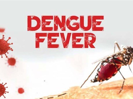 Read more about the article Fogging continues in St. Kitts to limit the spread of Dengue