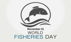 Fishers acknowledged in SKN on World Fisheries Day 2023