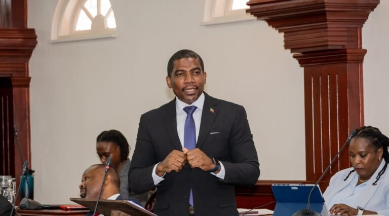 Read more about the article National Assembly passes Resolution in support of the geothermal project on Nevis