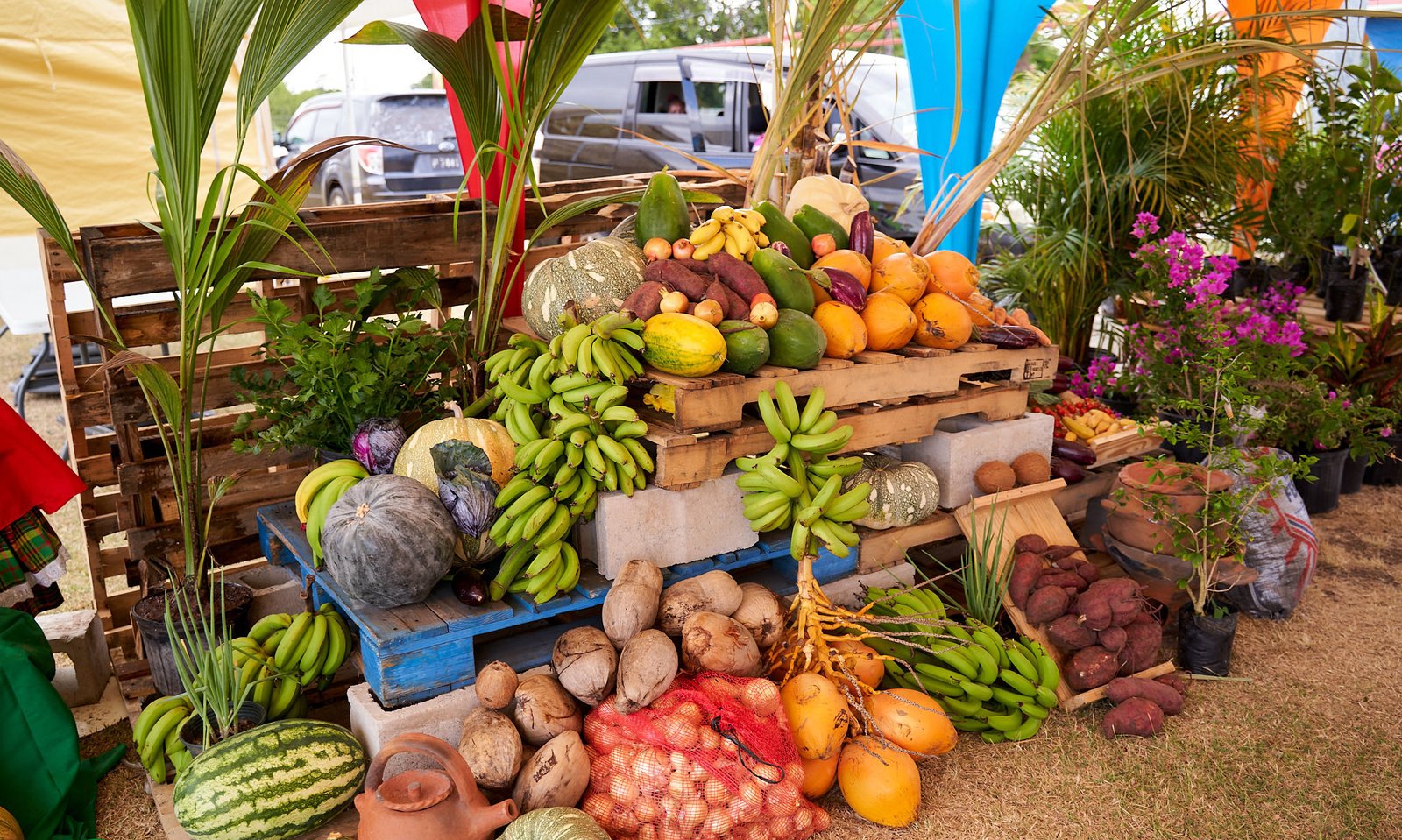 You are currently viewing Annual Agri Expo to open (today) Thursday