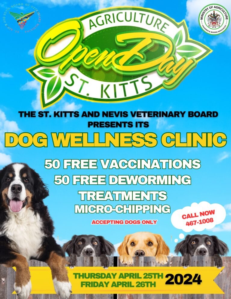 Read more about the article 50 free vaccinations for dogs to be offered at Agriculture Open Day in St. Kitts
