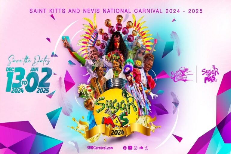 Read more about the article Carnival Arrangements for Entry, Exit and Parking