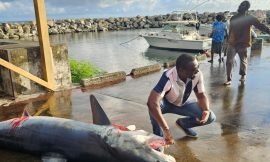 Department of Marine Resources St. Kitts and Nevis Successful wahoo Tournament 2024