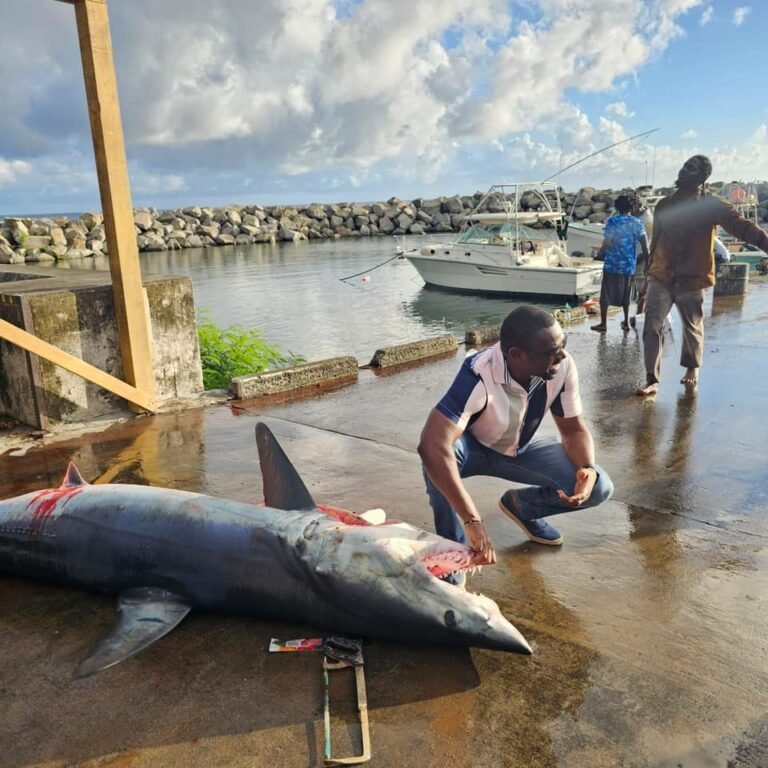 Read more about the article Department of Marine Resources St. Kitts and Nevis Successful wahoo Tournament 2024