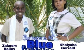 Team Blue Lightning crowned as Charlestown Primary held its house pageant