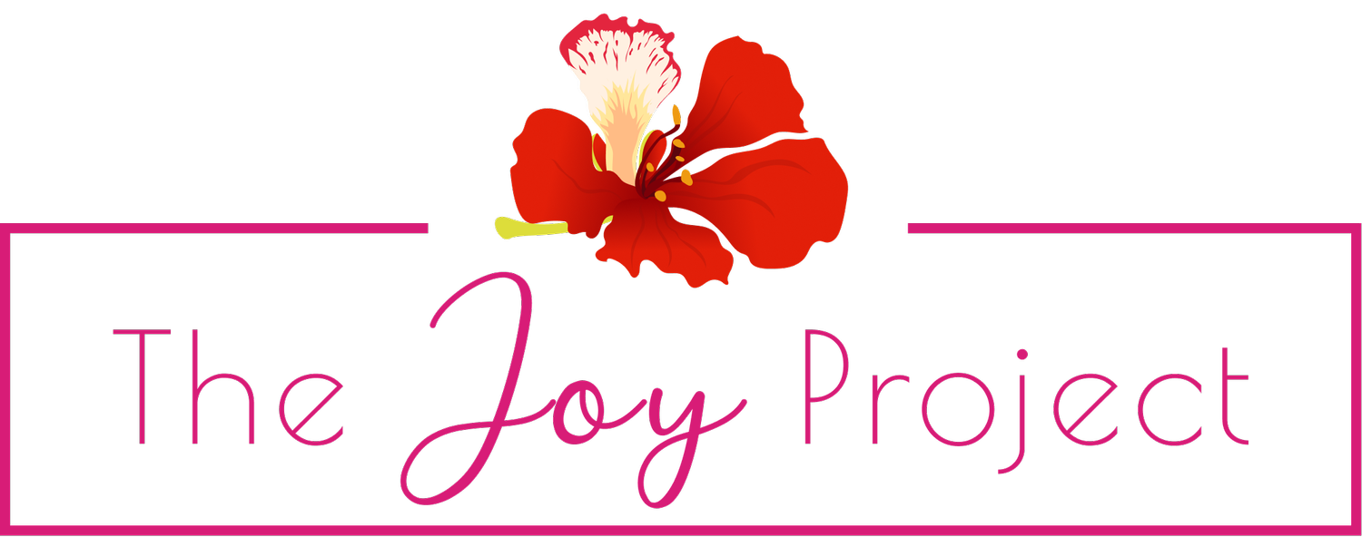 You are currently viewing The Joy Project officially launched in St. Kitts