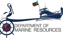 Fisheries Census in SKN