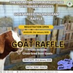 Department of Agriculture distributing 20 Boer through Raffle