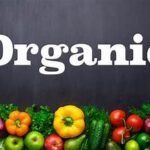 Going Organic – A look into St. Kitts’ Agricultural Sector