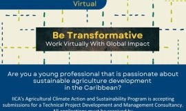 St. Kitts Ministry of Agriculture/IICA to introduce Climate Action and Sustainability Program