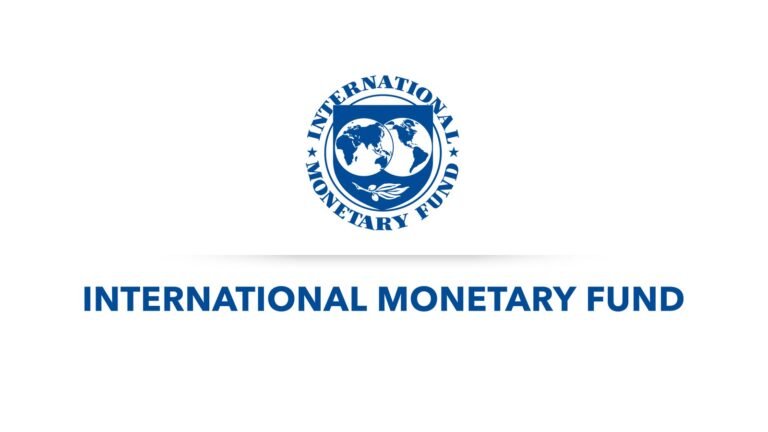 Read more about the article PM Drew announces completion of IMF report, reaffirms Gov’t commitment to transparency