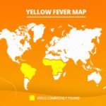 Ministry of Health Releases Yellow Fever Vaccination Advisory