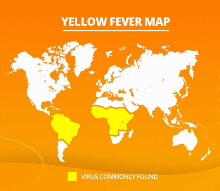 Read more about the article Ministry of Health Releases Yellow Fever Vaccination Advisory