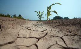 May is dubbed Drought month according to NDMD