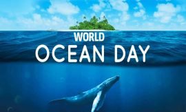 World Ocean Day Observed in St. Kitts and Nevis