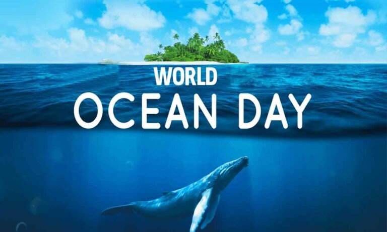 Read more about the article World Ocean Day Observed in St. Kitts and Nevis