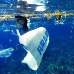 St. Kitts & Nevis Launched Its National Dialogue on Marine Litter Prevention Under PROMAR Initiative