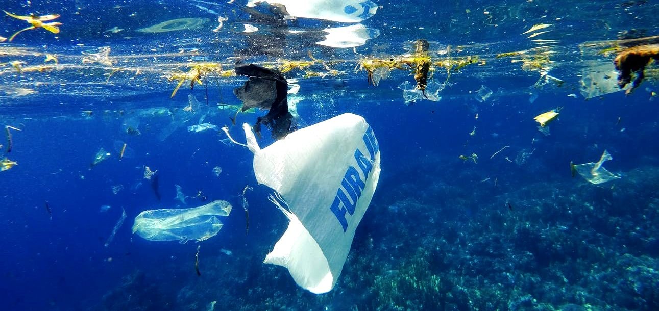 You are currently viewing St. Kitts & Nevis Launched Its National Dialogue on Marine Litter Prevention Under PROMAR Initiative