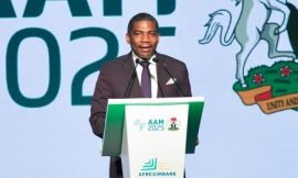 AfriCaribbean Trade and Investment Forum (ACTIF) to come to St. Kitts-Nevis in 2026