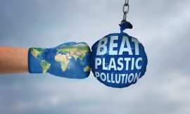 World Environment Day observed in SKN