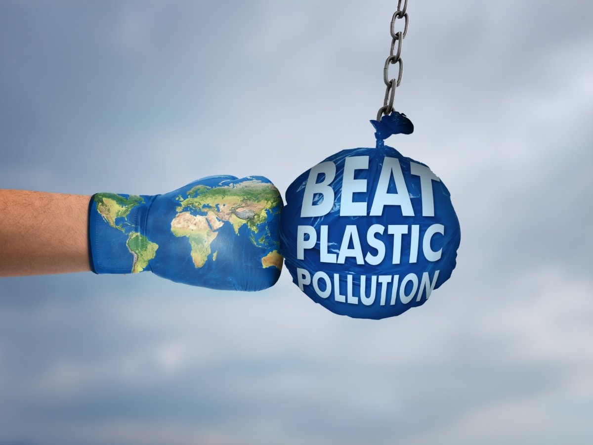 You are currently viewing World Environment Day observed in SKN