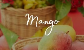Nevis Mango Festival launched on Thursday