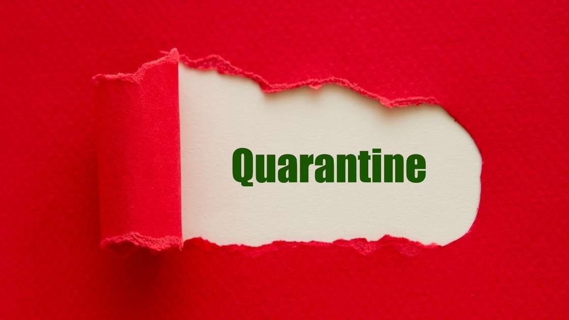 You are currently viewing Public encouraged to take produce to Quarantine Unit before leaving the country