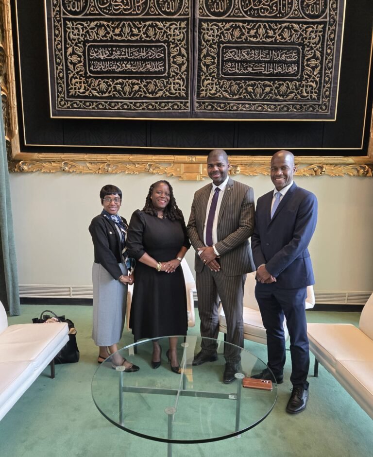 Read more about the article SKN advocates for the British Virgin Islands Right to Self Determination