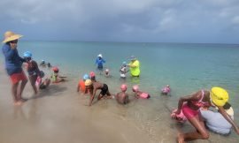 Swim Rite Swim Club Beach Camp to nurture swimming talents of Nevisian Youths